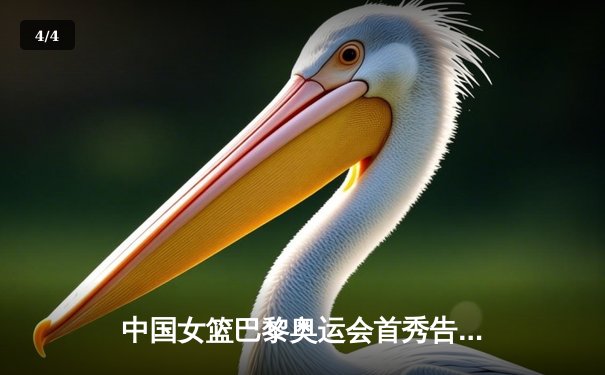 中国女篮巴黎奥运会首秀告捷，李梦独砍28分率队力克西班牙 - 4